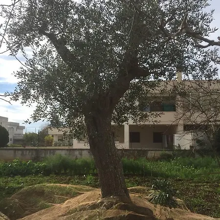 Trullo Del Sole Alberobello