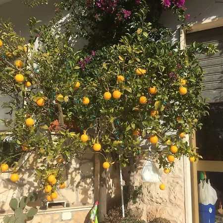 Trullo Del Sole * Alberobello